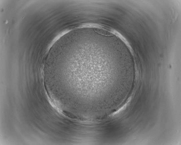 X0000087521049200705112001