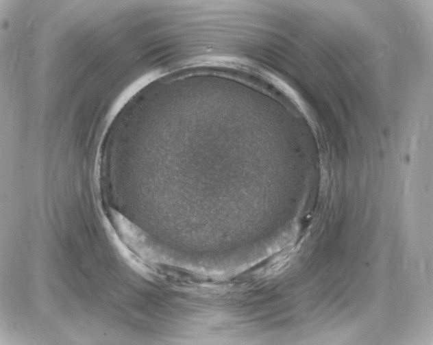 X0000087521050200705112001