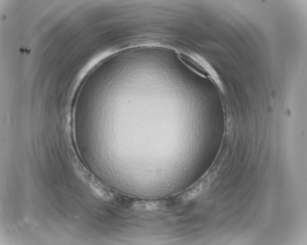 X0000087521051200705112001