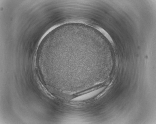 X0000087521052200705112001