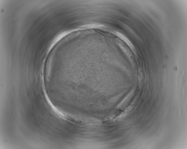 X0000087521055200705112001