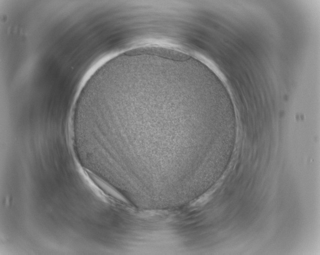 X0000087521056200705112001