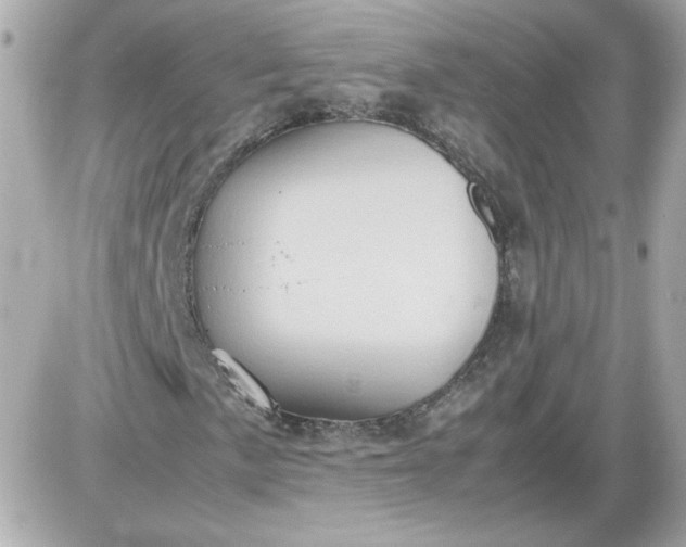 X0000087521057200705112001