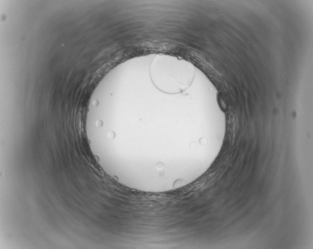 X0000087521058200705112001