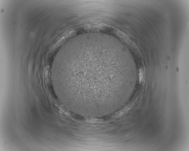 X0000087521059200705112001