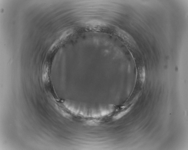 X0000087521060200705112001