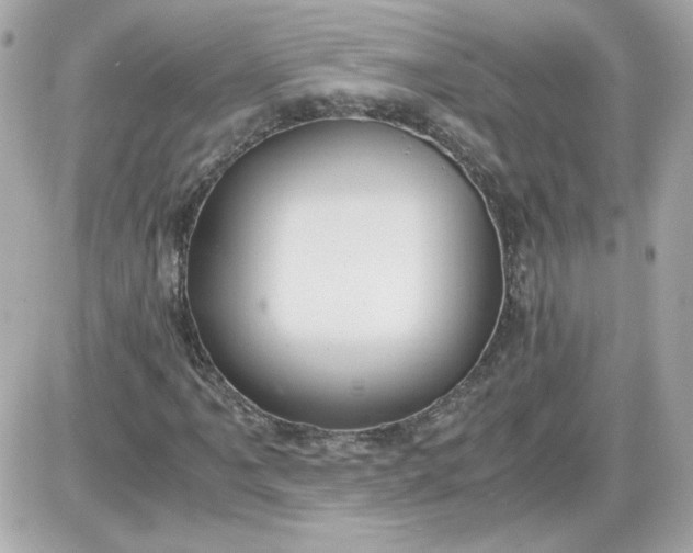 X0000087521061200705112001