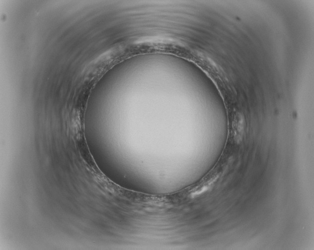 X0000087521062200705112001