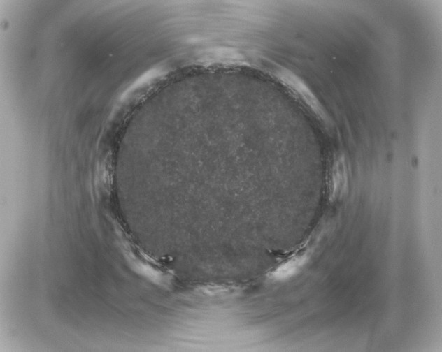 X0000087521063200705112001