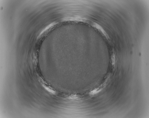 X0000087521064200705112000