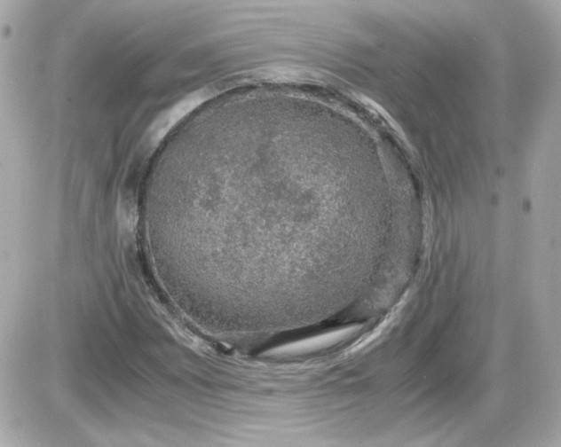 X0000087521065200705112000