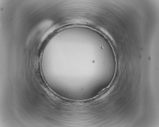 X0000087521067200705112000