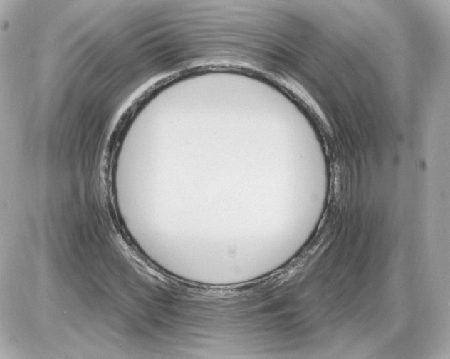 X0000087521068200705112000