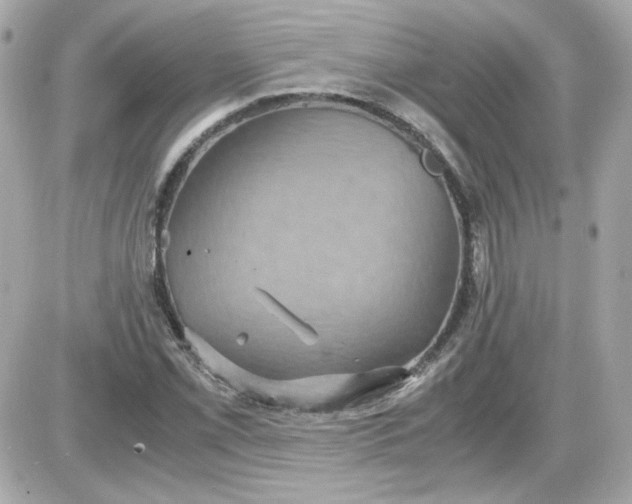 X0000087521069200705112000