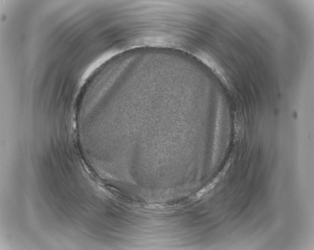 X0000087521070200705112000