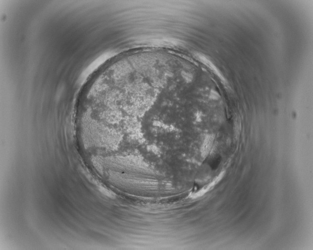 X0000087521071200705112000