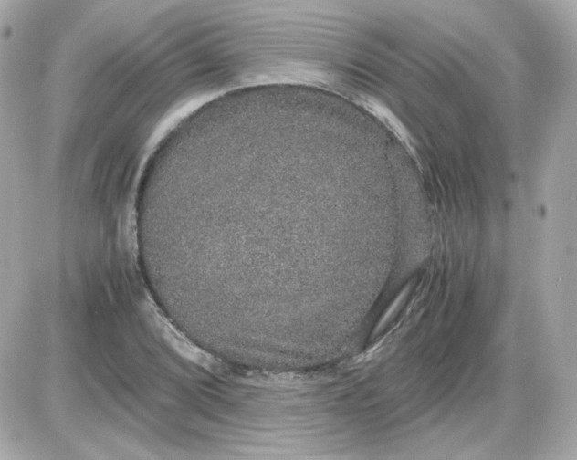 X0000087521072200705112000