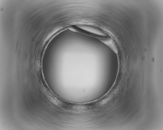 X0000087521073200705112000