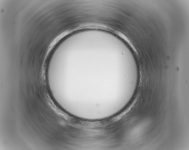 X0000087521074200705112000