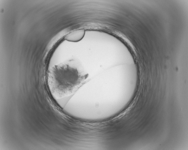 X0000087521075200705112000