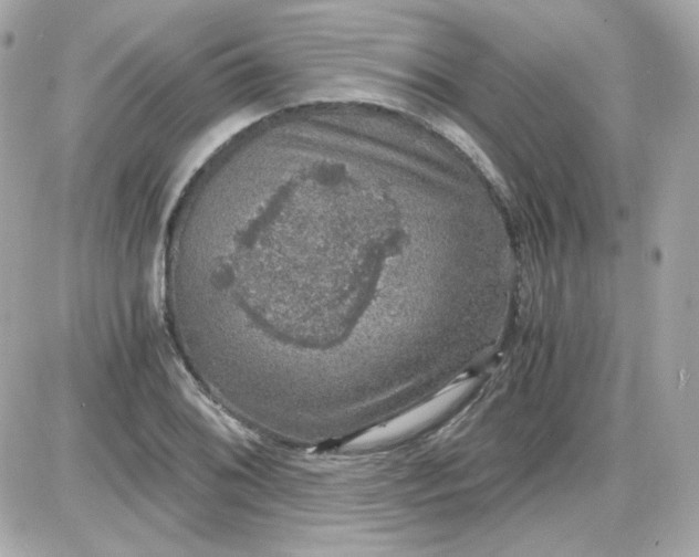 X0000087521076200705112000