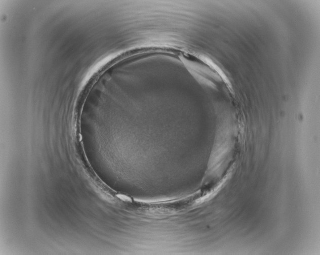 X0000087521077200705112000