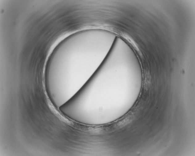 X0000087521080200705112000