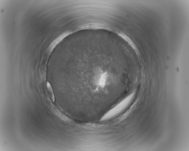 X0000087521081200705112000