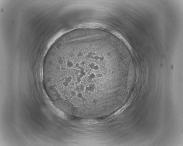 X0000087521083200705112000