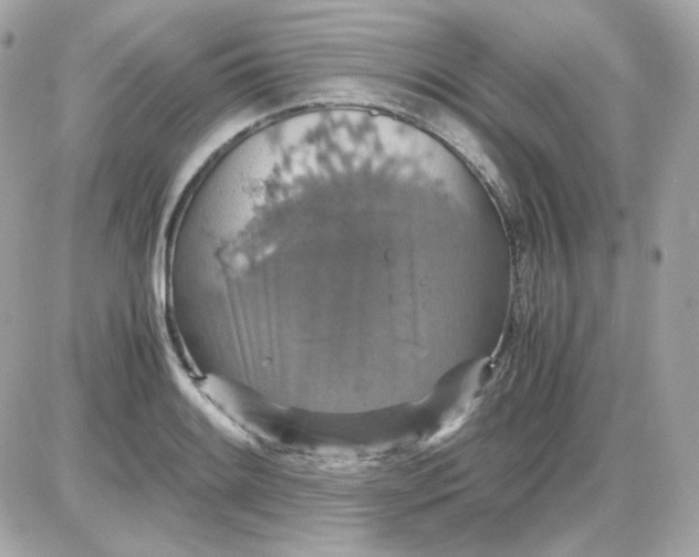 X0000087521084200705112000