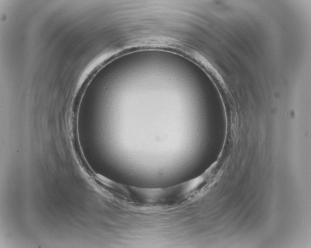 X0000087521085200705112000