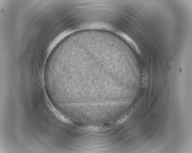 X0000087521086200705112000