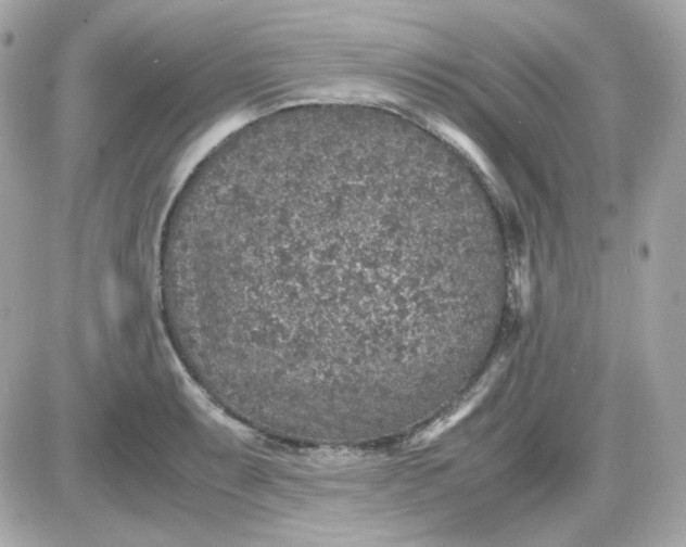 X0000087521087200705112000