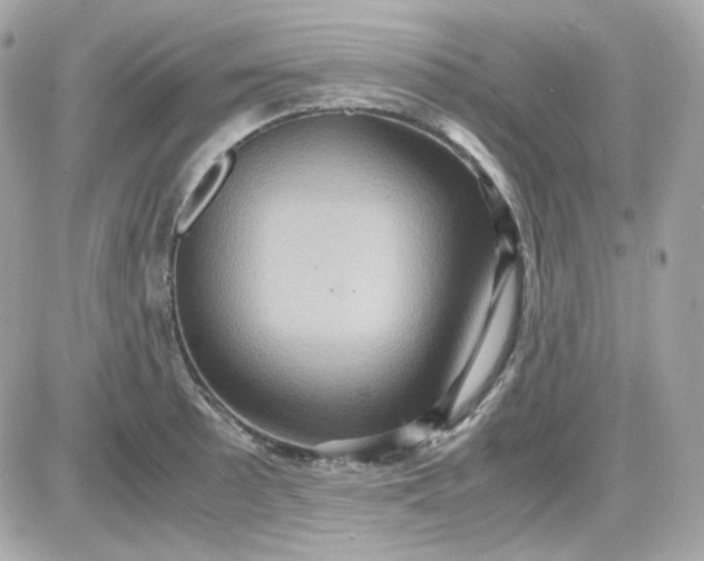 X0000087521089200705112000