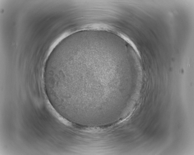 X0000087521091200705112000