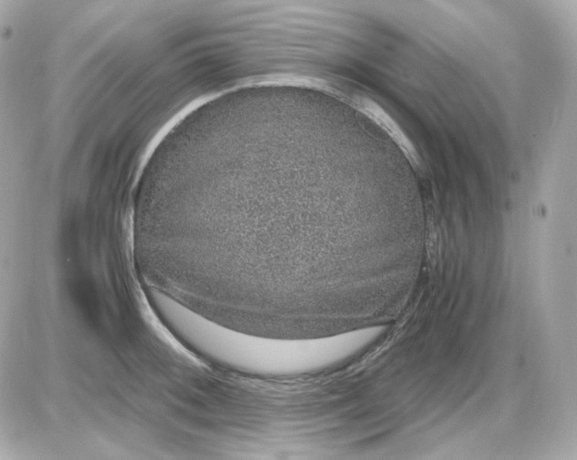 X0000087521092200705112000