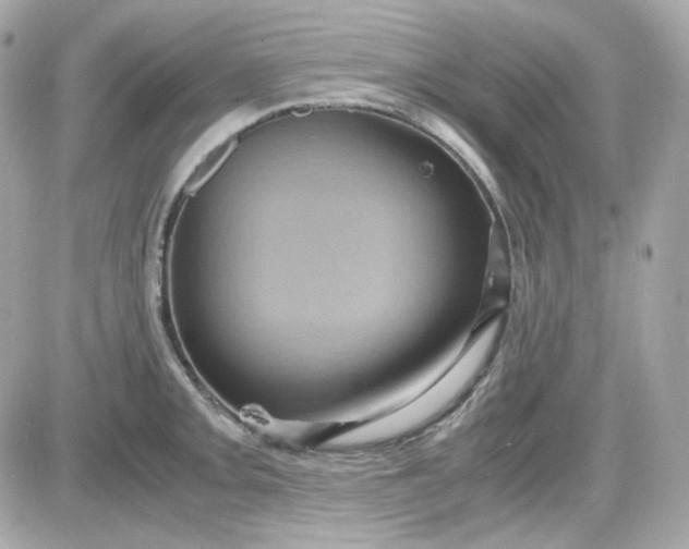 X0000087521093200705112000