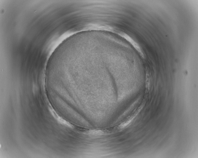 X0000087521094200705112000