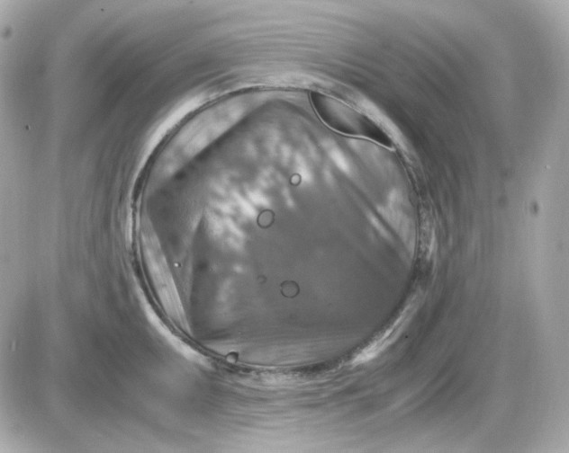 X0000087521095200705112000