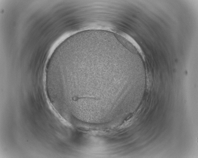 X0000087521096200705112000