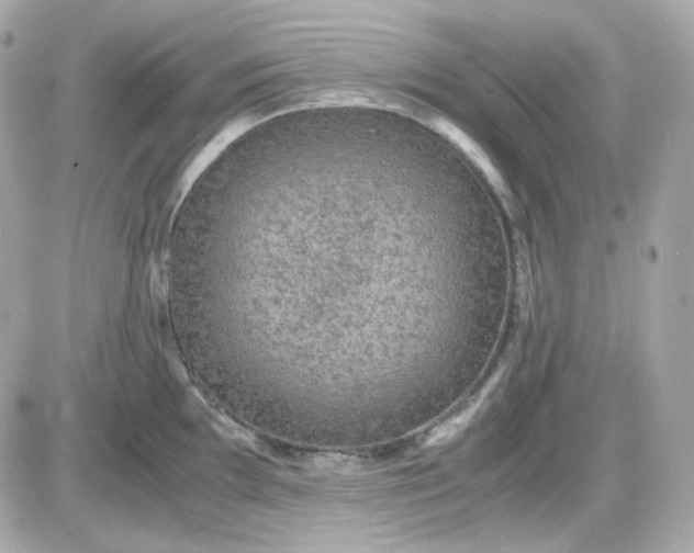 X0000087521097200705112000