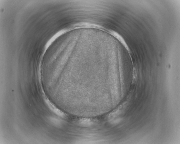 X0000087521098200705112000