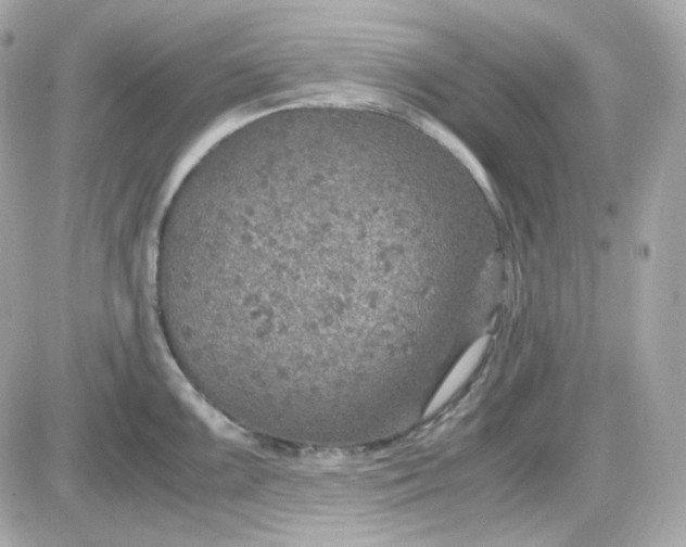 X0000087521099200705112000