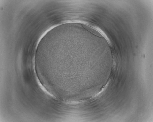 X0000087521100200705112000