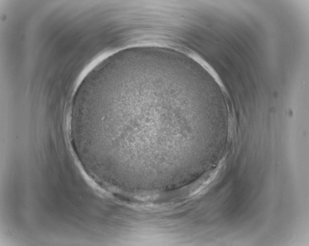 X0000087521101200705112000