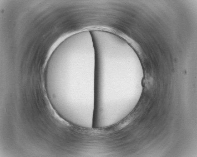 X0000087521102200705112000