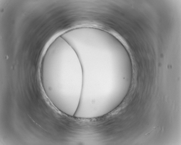 X0000087521104200705112000