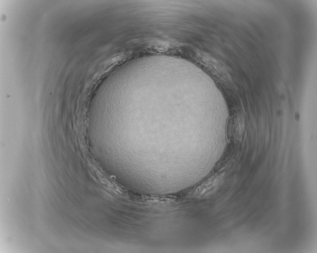 X0000087521105200705111959