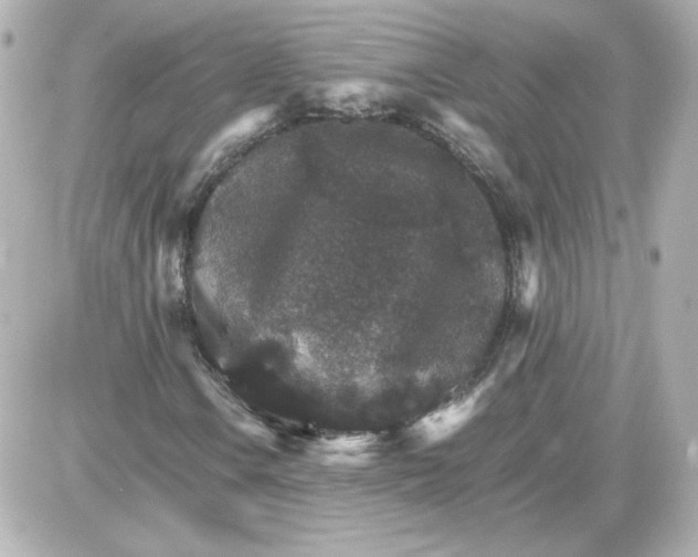 X0000087521106200705111959