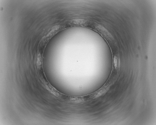 X0000087521107200705111959